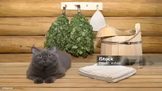 穿梭贵阳巷陌：我的养生会所探索之旅 poster