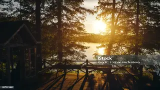 健康养生的聪明搭配：让你的生活更活力四射 封面